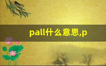 pall什么意思,pall中文翻译,pall用法及例句,pall怎么读-第1张图片-我的生活随想