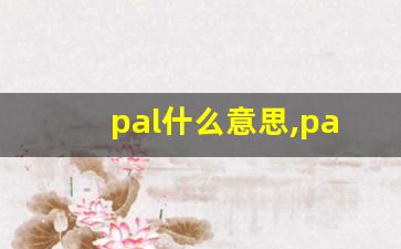 pal什么意思,pal中文翻译,pal用法及例句,pal怎么读-第1张图片-我的生活随想
