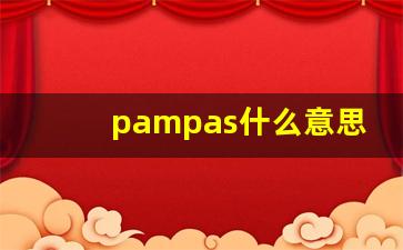 pampas什么意思,pampas中文翻译,pampas用法及例句,pampas怎么读-第1张图片-我的生活随想