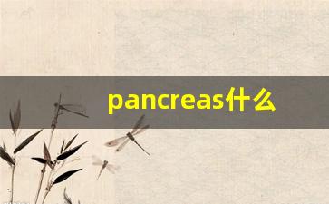 pancreas什么意思,pancreas中文翻译,pancreas用法及例句,pancreas怎么读-第1张图片-我的生活随想