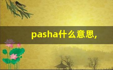 pasha什么意思,pasha中文翻译,pasha用法及例句,pasha怎么读-第1张图片-我的生活随想