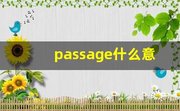 passage什么意思,passage中文翻译,passage用法及例句,passage怎么读-第1张图片-我的生活随想