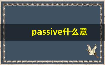 passive什么意思,passive中文翻译,passive用法及例句,passive怎么读-第1张图片-我的生活随想