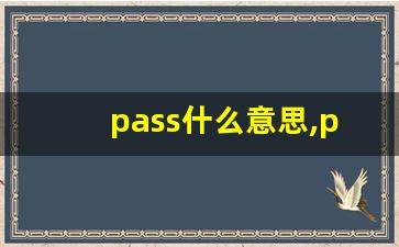 pass什么意思,pass中文翻译,pass用法及例句,pass怎么读-第1张图片-我的生活随想