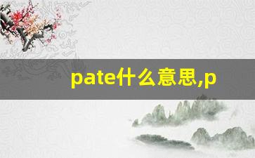 pate什么意思,pate中文翻译,pate用法及例句,pate怎么读-第1张图片-我的生活随想