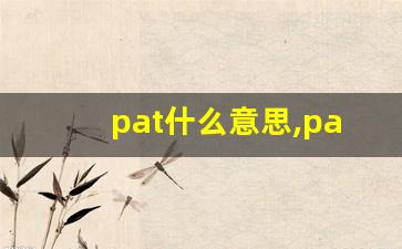 pat什么意思,pat中文翻译,pat用法及例句,pat怎么读-第1张图片-我的生活随想