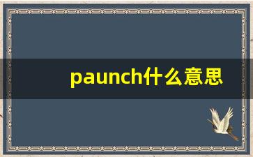 paunch什么意思,paunch中文翻译,paunch用法及例句,paunch怎么读-第1张图片-我的生活随想