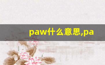 paw什么意思,paw中文翻译,paw用法及例句,paw怎么读-第1张图片-我的生活随想