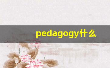 pedagogy什么意思,pedagogy中文翻译,pedagogy用法及例句,pedagogy怎么读-第1张图片-我的生活随想