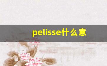 pelisse什么意思,pelisse中文翻译,pelisse用法及例句,pelisse怎么读-第1张图片-我的生活随想