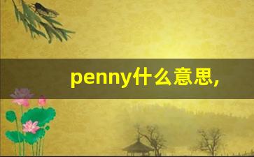 penny什么意思,penny中文翻译,penny用法及例句,penny怎么读-第1张图片-我的生活随想