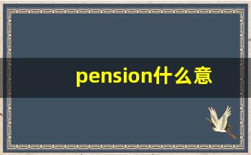 pension什么意思,pension中文翻译,pension用法及例句,pension怎么读-第1张图片-我的生活随想