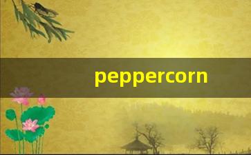 peppercorn什么意思,peppercorn中文翻译,peppercorn用法及例句,peppercorn怎么读-第1张图片-我的生活随想