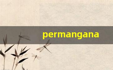 permanganate什么意思,permanganate中文翻译,permanganate用法及例句,permanganate怎么读-第1张图片-我的生活随想