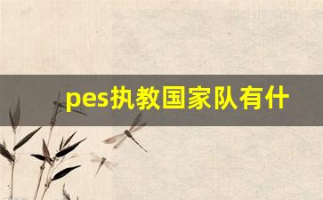 pes2021怎么执教国家队-pes执教国家队有什么用