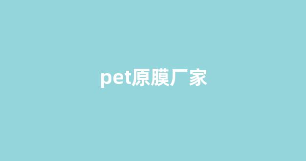 pet原膜厂家(pet薄膜厂家)_https://www.taocizhiliang.com_设计报价_第1张