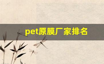pet原膜厂家排名(生产pet膜的厂家)_https://www.eamstsz.com_北交所_第1张