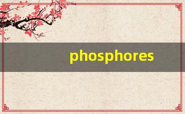 phosphorescent什么意思,phosphorescent中文翻译,phosphorescent用法及例句,phosphorescent怎么读-第1张图片-我的生活随想