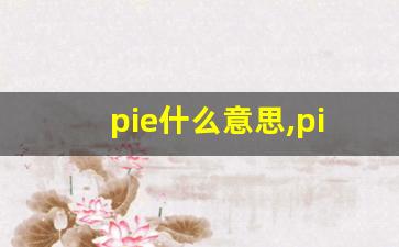 pie什么意思,pie中文翻译,pie用法及例句,pie怎么读-第1张图片-我的生活随想