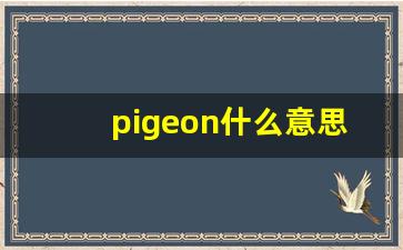pigeon什么意思,pigeon中文翻译,pigeon用法及例句,pigeon怎么读-第1张图片-我的生活随想