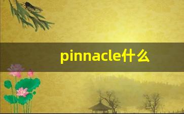 pinnacle什么意思,pinnacle中文翻译,pinnacle用法及例句,pinnacle怎么读-第1张图片-我的生活随想