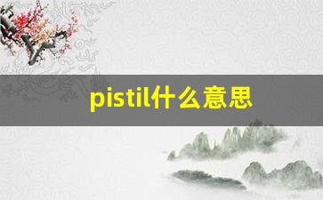 pistil什么意思,pistil中文翻译,pistil用法及例句,pistil怎么读-第1张图片-我的生活随想