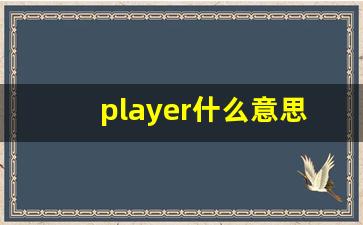 player什么意思,player中文翻译,player用法及例句,player怎么读-第1张图片-我的生活随想