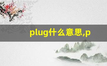 plug什么意思,plug中文翻译,plug用法及例句,plug怎么读-第1张图片-我的生活随想