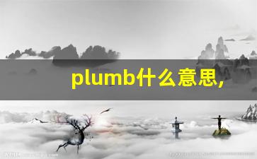 plumb什么意思,plumb中文翻译,plumb用法及例句,plumb怎么读-第1张图片-我的生活随想