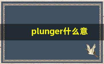 plunger什么意思,plunger中文翻译,plunger用法及例句,plunger怎么读-第1张图片-我的生活随想