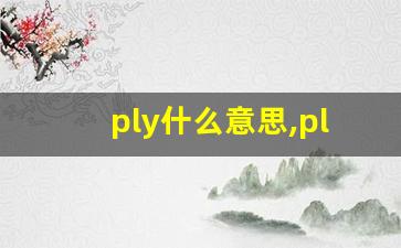 ply什么意思,ply中文翻译,ply用法及例句,ply怎么读-第1张图片-我的生活随想