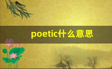 poetic什么意思,poetic中文翻译,poetic用法及例句,poetic怎么读-第1张图片-我的生活随想