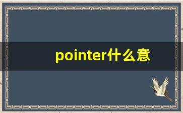 pointer什么意思,pointer中文翻译,pointer用法及例句,pointer怎么读-第1张图片-我的生活随想