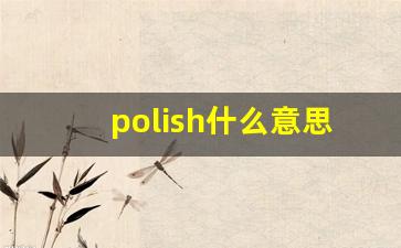 polish什么意思,polish中文翻译,polish用法及例句,polish怎么读-第1张图片-我的生活随想