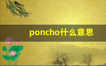 poncho什么意思,poncho中文翻译,poncho用法及例句,poncho怎么读-第1张图片-我的生活随想
