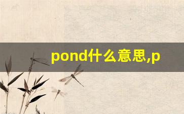 pond什么意思,pond中文翻译,pond用法及例句,pond怎么读-第1张图片-我的生活随想