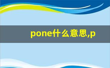 pone什么意思,pone中文翻译,pone用法及例句,pone怎么读-第1张图片-我的生活随想