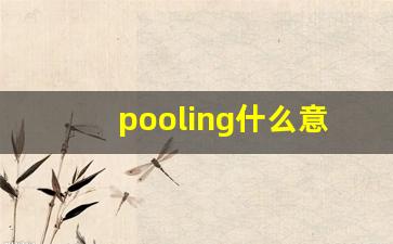 pooling什么意思,pooling中文翻译,pooling用法及例句,pooling怎么读-第1张图片-我的生活随想