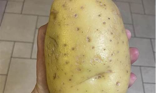 potato如何不更新(potato怎么更新不了)