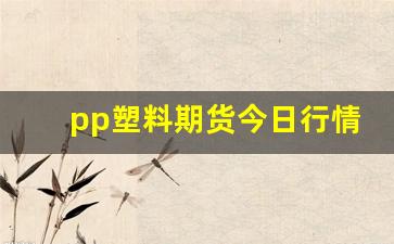 pp塑料期货今日行情(pp1905塑料期货行情)_https://www.gfdzclz.com_上交所_第1张