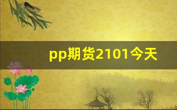 pp期货2101今天行情分析(今日pp期货2105)_https://www.haiwangdasha.com_科创板_第1张