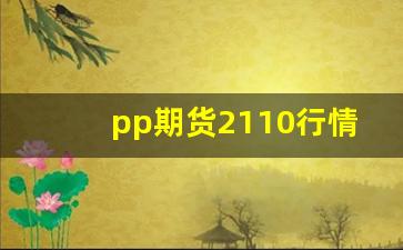 pp期货2110行情实时行情2005(pp期货21o5)_https://www.jianghaiboli.com_原油期货_第1张
