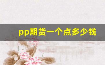 pp期货一个点多少钱(期货商品一个点多少钱)_https://www.hangfeite.com_深交所_第1张