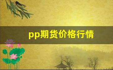 pp期货价格行情(pp期货价格行情今日)_https://www.eamstsz.com_上交所_第1张