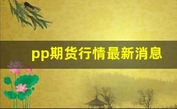 pp期货行情最新消息(pp期货价格行情分析)_https://www.rzcpcj.com_淘宝运营_第1张