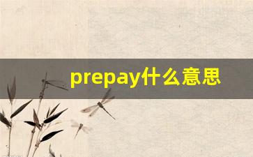 prepay什么意思,prepay中文翻译,prepay用法及例句,prepay怎么读-第1张图片-我的生活随想
