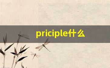 priciple什么意思,priciple中文翻译,priciple用法及例句,priciple怎么读-第1张图片-我的生活随想