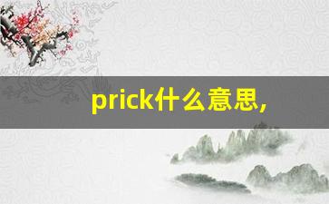 prick什么意思,prick中文翻译,prick用法及例句,prick怎么读-第1张图片-我的生活随想