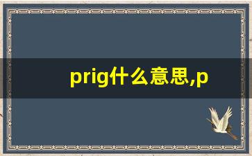prig什么意思,prig中文翻译,prig用法及例句,prig怎么读-第1张图片-我的生活随想