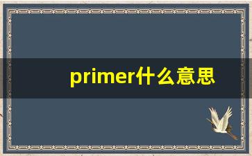 primer什么意思,primer中文翻译,primer用法及例句,primer怎么读-第1张图片-我的生活随想
